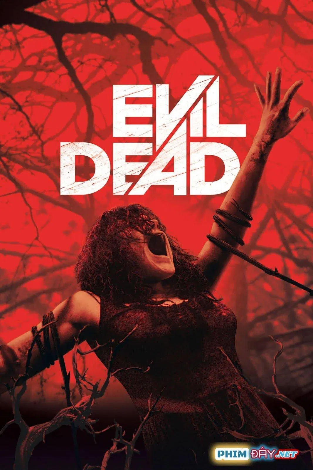 Ma cây (Ảnh Internet)