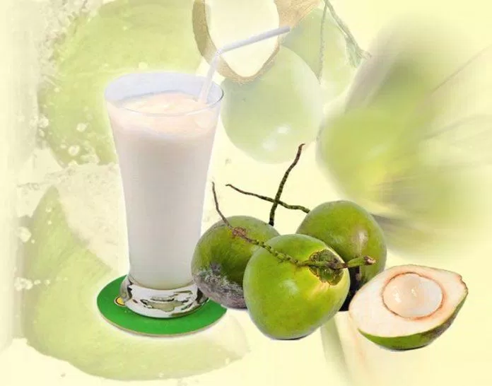 sinh-tố-sữa-dừa (nguồn: internet)