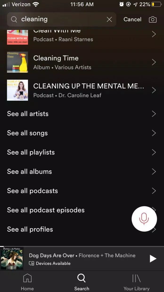 Chức năng tìm kiếm trong Spotify (Ảnh: Internet).