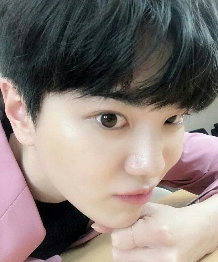 Sungjong Infinite (Ảnh: Internet)