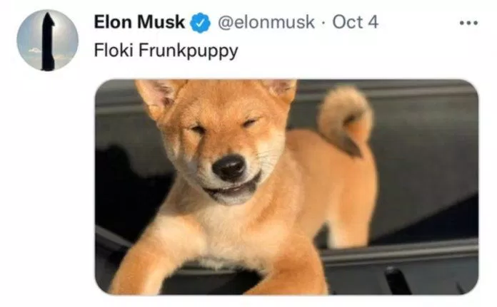 Tweet đăng làm chao đảo cộng đồng ủng hộ coin chó của Elon Musk (Nguồn: Internet).