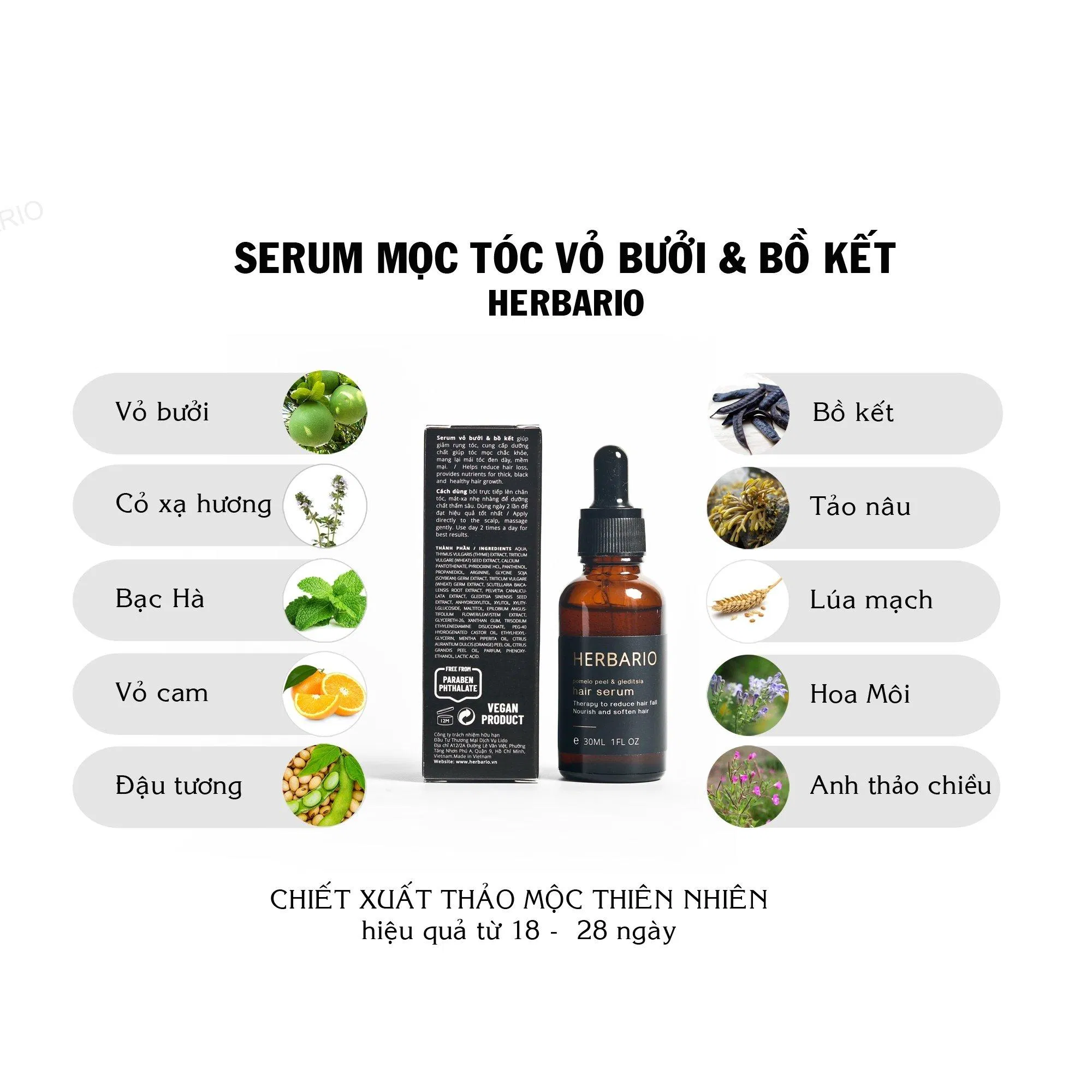 Bảng thành phần an toàn và lành tính của serum dưỡng tóc Herbario phù hợp với mọi loại da dầu (Ảnh: Internet)
