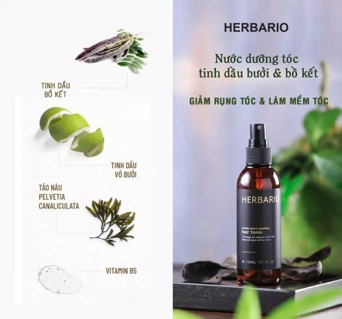 Các thành phần an toàn chính của dầu dưỡng tóc Herbario (Ảnh: Internet)