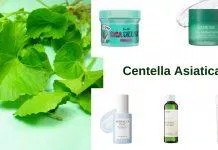 Cica là gì? Top 05 loại sản phẩm chứa Cica mà các nàng da nhạy cảm không thể bỏ qua (Nguồn: Tác giả)