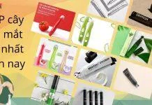 TOP 12 cây lăn mắt đánh bay quầng thâm hiệu quả nhất hiện nay (Nguồn: BlogAnChoi)