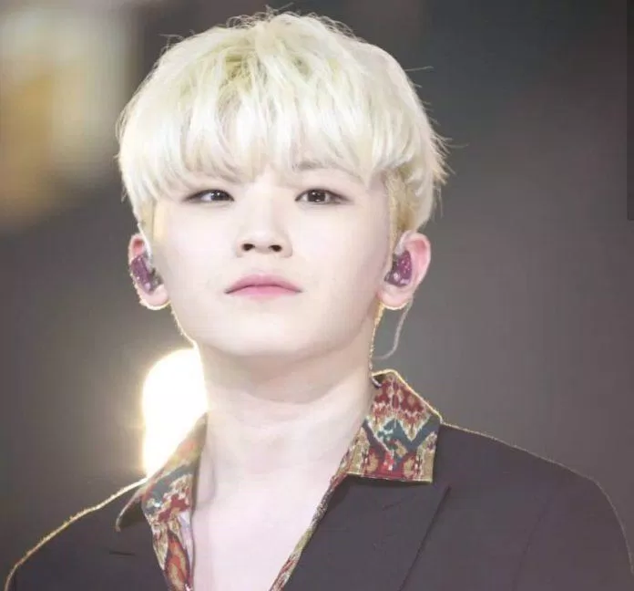 Woozi đảm nhận phần sản xuất âm nhạc cho nhóm (Nguồn: Internet) Woozi đảm nhận phần sản xuất âm nhạc cho nhóm (Nguồn: Internet)