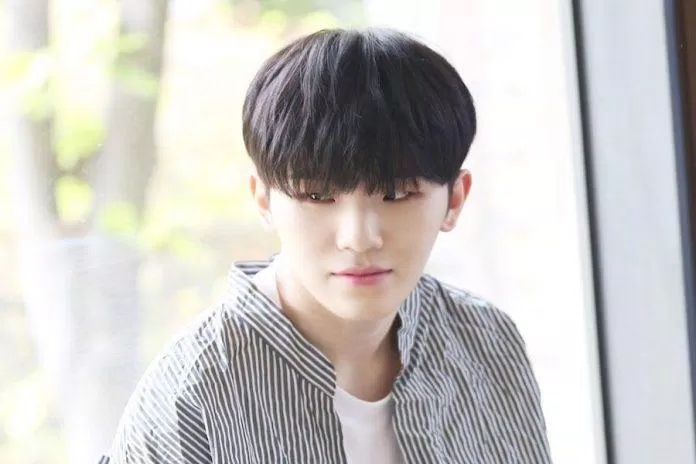 Woozi hội tụ đầy đủ yếu tố để thành công tại thị trường KPOP (Nguồn: Internet) Woozi hội tụ đầy đủ yếu tố để thành công tại thị trường KPOP (Nguồn: Internet)
