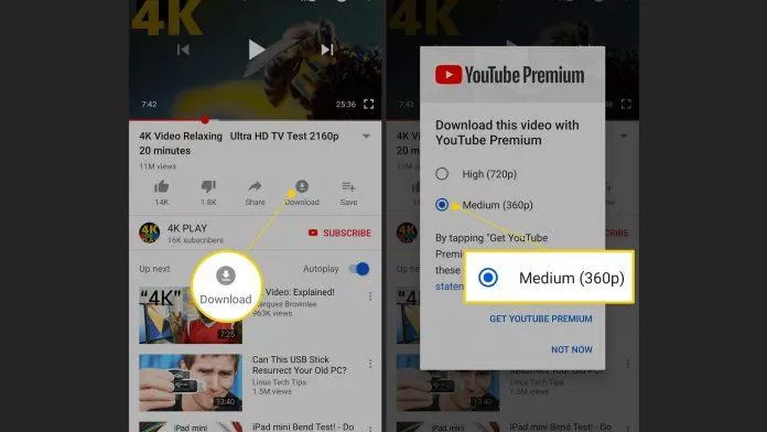YouTube Premium cho phép tải video thoải mái (Ảnh: Internet).