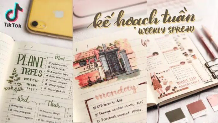Kênh TikTok của chị Happy Hidari với những hình ảnh đẹp mắt (Ảnh: Happy Hidari YouTube)
