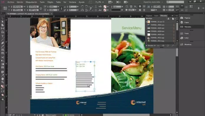 Adobe InDesign (Ảnh: Internet). Adobe InDesign (Ảnh: Internet).