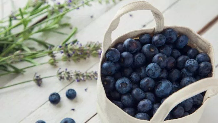 Blueberry là loại quả chứa nhiều dưỡng chất có lợi cho sức khỏe làn da (Nguồn: internet)