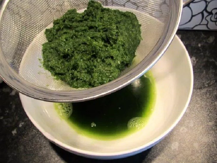 Xây lá dứa để lấy nước tạo màu cho bánh trôi (ảnh: internet) Xây lá dứa để lấy nước tạo màu cho bánh trôi (ảnh: internet)