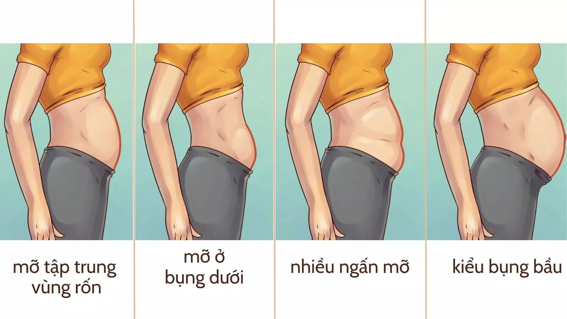 cách trị mỡ bụng tại nhà