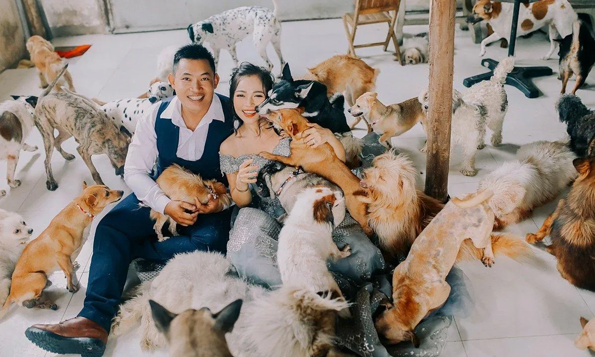 Một trong những cặp đôi nên duyên nhờ chung sở thích cưu mang những chú chó bị bỏ rơi (Nguồn: Internet).