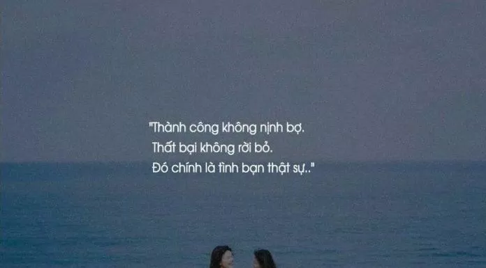 Cap về tình bạn hay, ý nghĩa. (Ảnh: Internet)