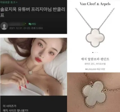 Chiếc vòng cổ có thiết kế và phong cách khác so với hàng thật được bày bán trên web có giá 5,7 triệu KRW (Nguồn: Internet) Chiếc vòng cổ có thiết kế và phong cách khác so với hàng thật được bày bán trên web có giá 5,7 triệu KRW (Nguồn: Internet)