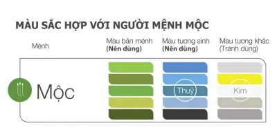 Màu sắc phong thủy của người mệnh Mộc. (Ảnh: Internet)