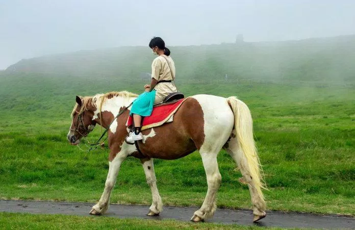 Trải nghiệm cưỡi ngựa tuyệt vời cho du khách. (Nguồn: Internet)