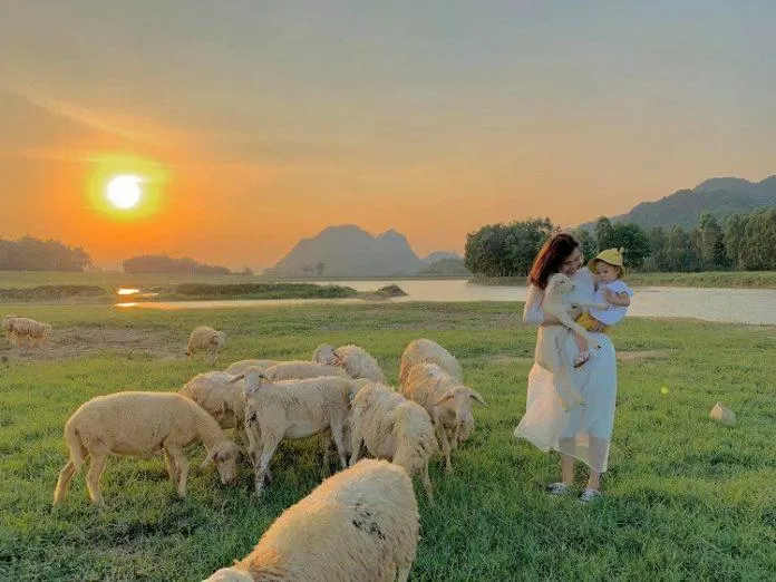 Hoàng hôn tuyệt mỹ bên bờ sông với những chú cừu (Nguồn: Internet)