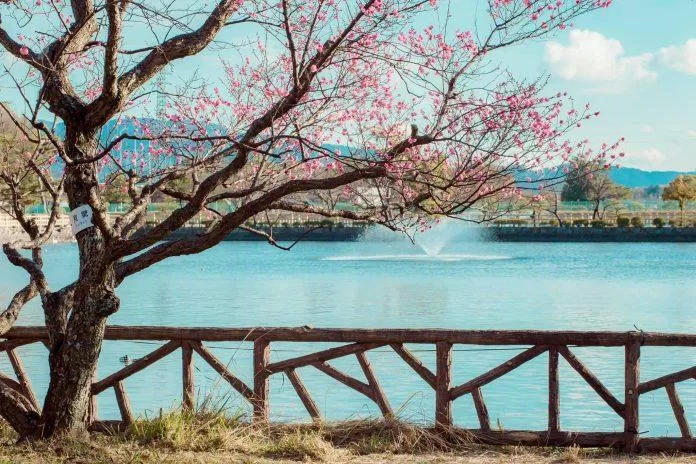 Vườn hoa quay mặt về phía hồ nước tĩnh lặng. (Ảnh: Internet) Vườn hoa quay mặt về phía hồ nước tĩnh lặng. (Ảnh: Internet)