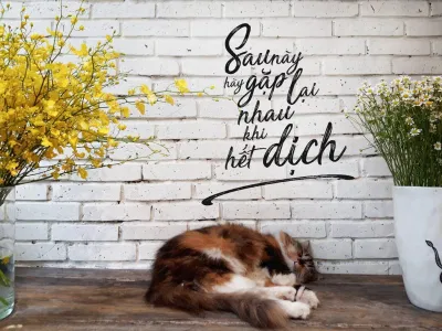 Sau này gặp nhau khi hết dịch (Nguồn: Internet)