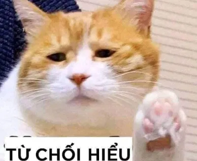 Từ chối hiểu (Nguồn: Internet)
