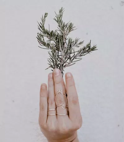 Hương thảo rất dễ tìm và chăm sóc, ta có thể trồng chúng tại nhà. (Ảnh: Internet)