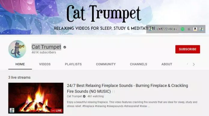 Kênh YouTube Kèn Mèo (Ảnh: Serumi).