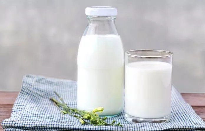 Sữa tươi là nguồn cung cấp chất dinh dưỡng cần thiết cho sức khỏe con người.  (nguồn: Internet).