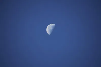 Last Quarter Moon (Nguồn: Internet)