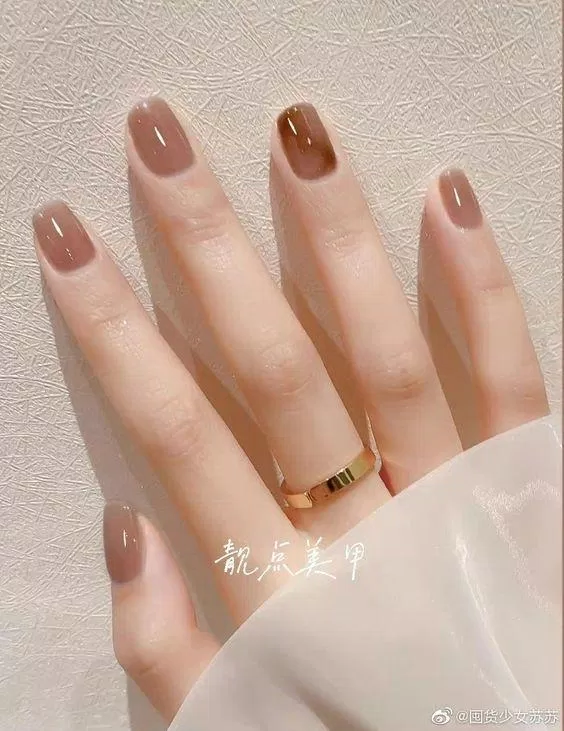 Mẫu nail nâu nhẹ nhàng (ảnh: internet)