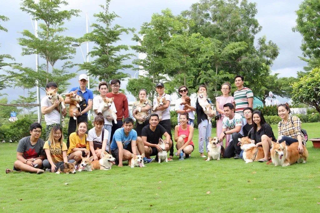 Một cuộc offline để giao lưu giữa các Boss và Sen (Nguồn: Internet).