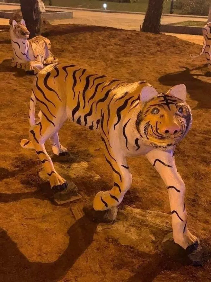 Những chú hổ ở Phú Thọ (Nguồn: Internet)