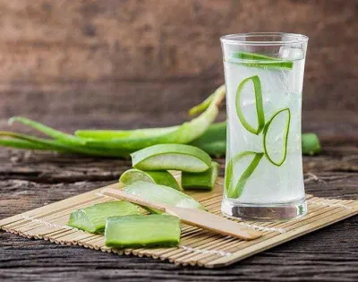Uống nước ép lô hội giúp tăng cường sản xuất collagen, làm săn chắc và tươi trẻ làn da. (Nguồn: Internet) Uống nước ép lô hội giúp tăng cường sản xuất collagen, làm săn chắc và tươi trẻ làn da. (Nguồn: Internet)