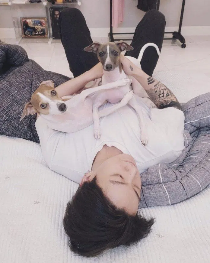 Jungkook mới đây đăng tải hình ảnh về 2 chú chó đáng yêu khác là Paengie và Songie (Ảnh: Instagram)