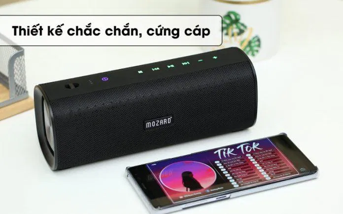 Loa Bluetooth (Nguồn: Internet)