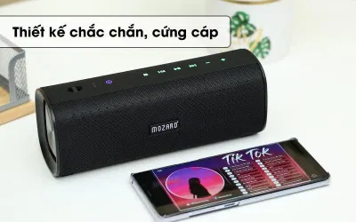 Loa Bluetooth (Nguồn: Internet)