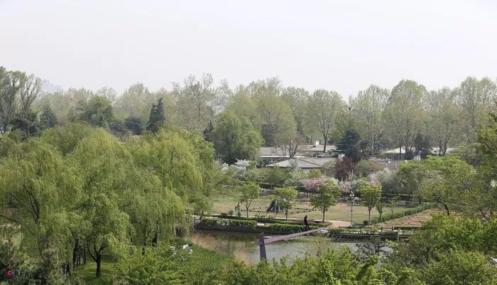 Công viên gia đình Yonsan (Ảnh: Internet)
