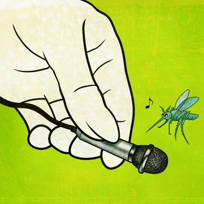 Tiếng rap giống như "tiếng muỗi" - tiếng muỗi vo ve (Nguồn: Internet).