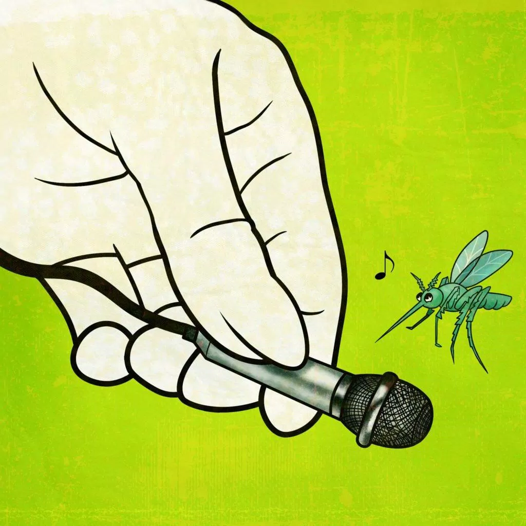 Squeak rap được ví như "mosquito sounds" - tiếng muỗi vo ve (Nguồn: Internet). Squeak rap được ví như "mosquito sounds" - tiếng muỗi vo ve (Nguồn: Internet).