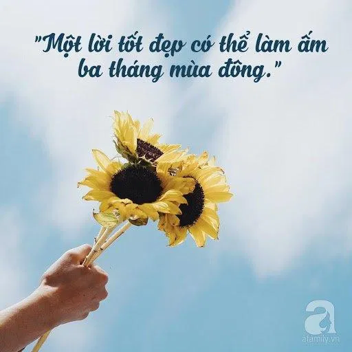 Status hay về cuộc sống (Nguồn: Internet)