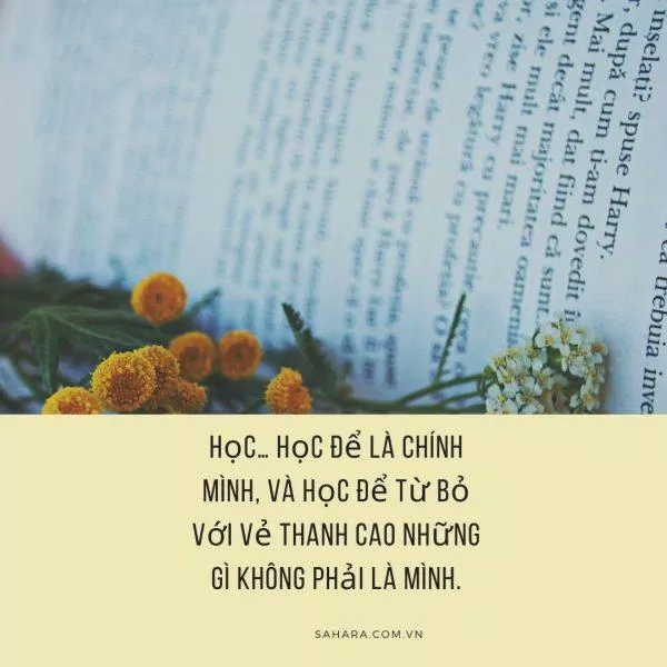 Status hay về học tập (Nguồn: Internet)