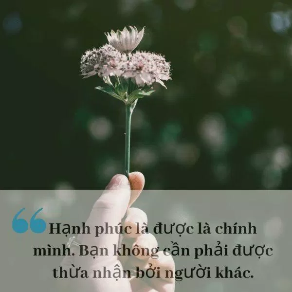 Status hay về cuộc sống (Nguồn: Internet)