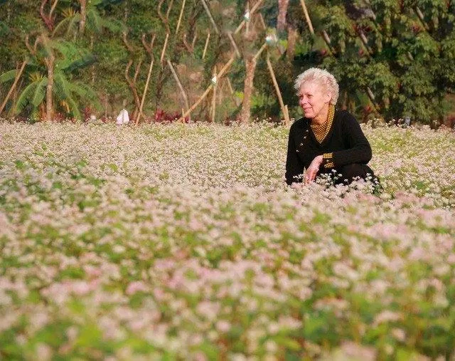 Du khách quốc tế cũng rất hào hứng với vườn hoa tam giác mạch có 1-0-2 tại Ninh Bình (Nguồn: Internet)