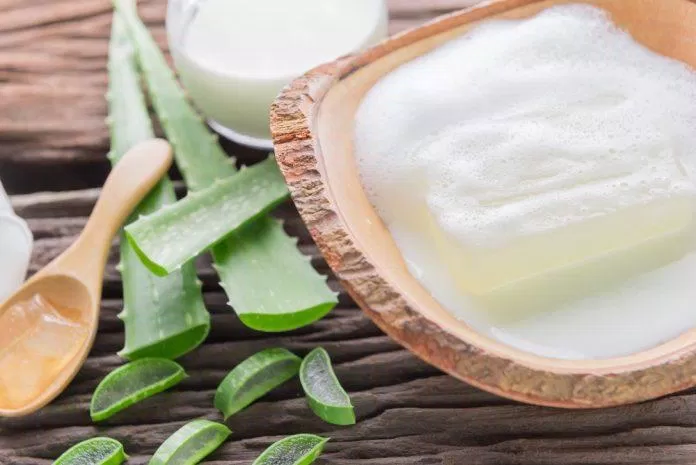 Nha đam và nước gạo làm tăng khả năng dưỡng ẩm, phục hồi, làm sáng và hỗ trợ làm mờ tàn nhang. (Nguồn: Internet) Nha đam và nước gạo làm tăng khả năng dưỡng ẩm, phục hồi, làm sáng và hỗ trợ làm mờ tàn nhang. (Nguồn: Internet)