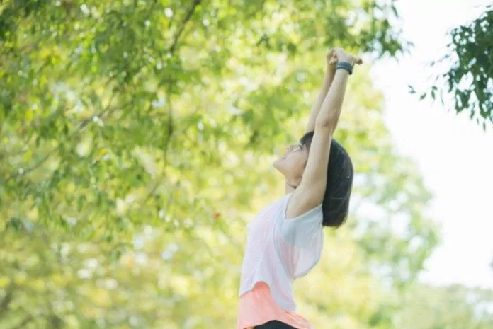 Vitamin và chất xơ trong rau củ giúp thúc đẩy quá trình trao đổi chất (Ảnh: Internet). Vitamin và chất xơ trong rau củ giúp thúc đẩy quá trình trao đổi chất (Ảnh: Internet).