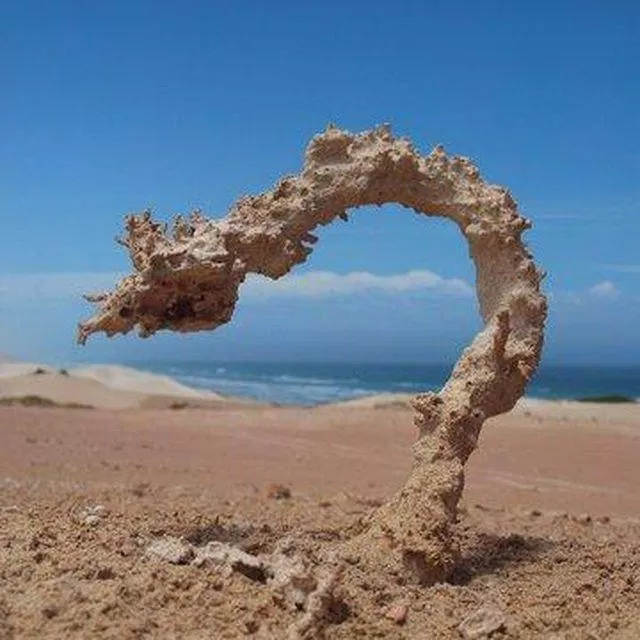 Hiện tượng cát hoá đá kì thú. (Nguồn: Internet)