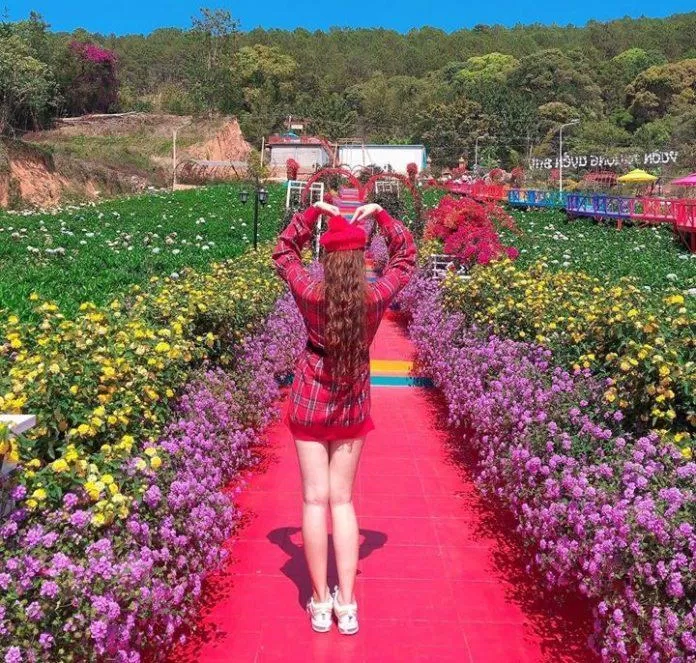 Du khách đến đây để chụp ảnh với con đường đầy hoa (Nguồn: Internet).