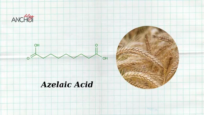 Azelaic Acid "thần dược" trong việc trị mụn làm sáng da (Ảnh: nquynhvy)