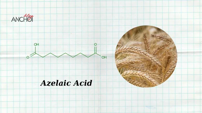 Azelaic Acid "thần dược" trong việc trị mụn làm sáng da (Ảnh: nquynhvy) Azelaic Acid "thần dược" trong việc trị mụn làm sáng da (Ảnh: nquynhvy)